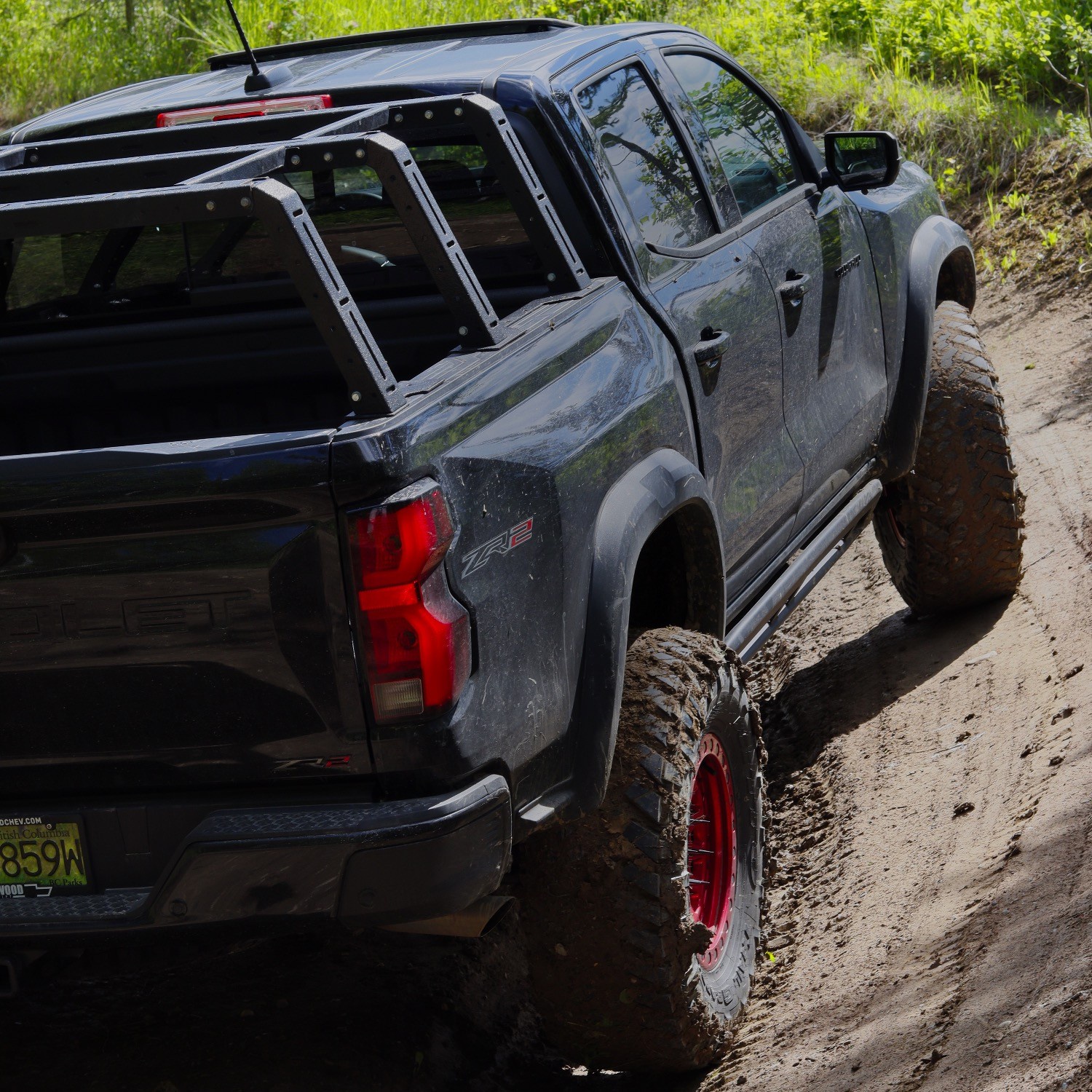 rear view of jeep wrangler on forest trail
