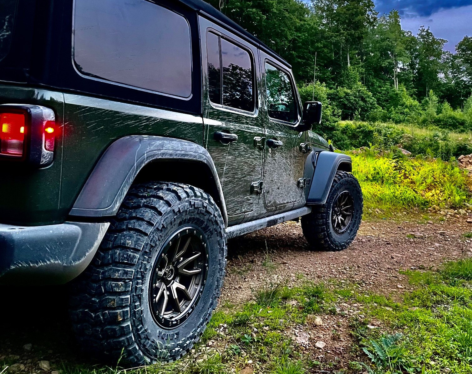 rear view of green jeep wrangler on forest trail